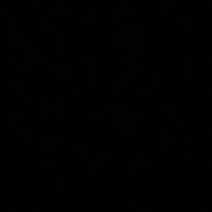 Meet your Posher, Kaylee